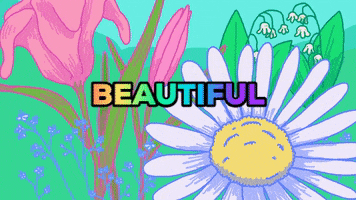 Flower Delivery In Singapore GIF