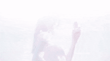 Perfume Bernie GIF