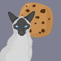 cat cookie GIF by yip yips