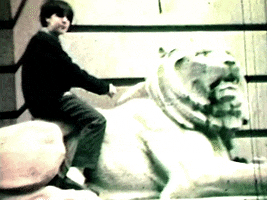 200.gif?cid=fc005b08a891c0959641e976e11e1891e6446177cb36771f&rid=200.gif&ct=g