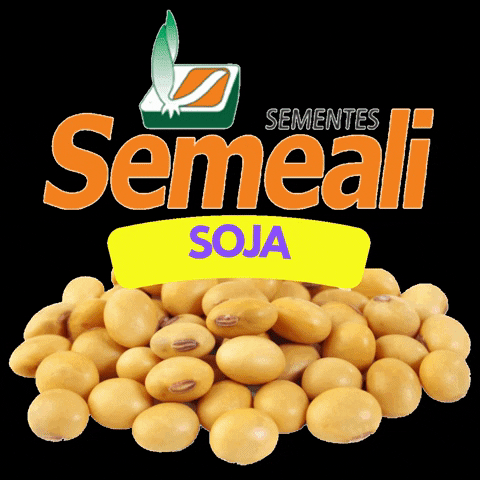 Semeali GIF by semealisementes