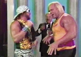 Hulk Hogan Agree GIF