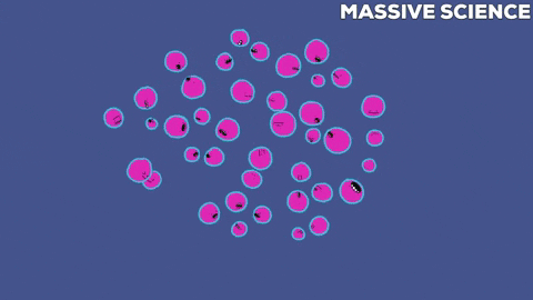 Artificial Intelligence Animation GIF by Massive Science - Find & Share on  GIPHY