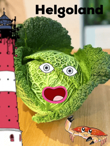 Wirsing Nordseeinsel GIF