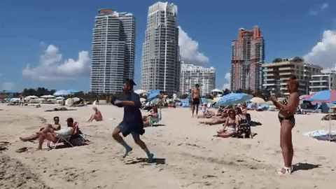 Florida Beach GIFs - Get the best GIF on GIPHY