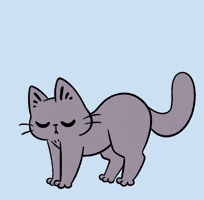 Cat Dancingcat GIF