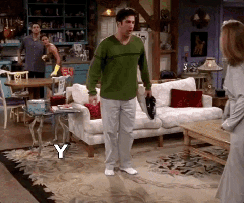 Your Means Your Season 4 GIF by Friends