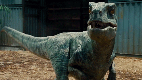 Velociraptor GIFs - Get the best GIF on GIPHY