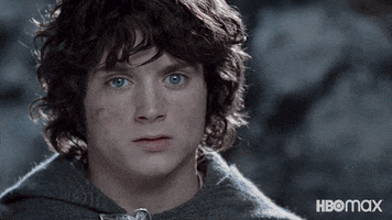 Realize Lord Of The Rings GIF by Max