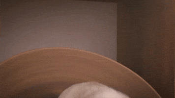 200.gif?cid=f0bdee70hvyhw37956a0oxj4clpfsi5ztzs67xek2lbfh2rk&rid=200.gif&ct=g