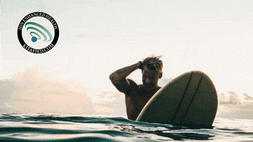 GIF by Simply Earth