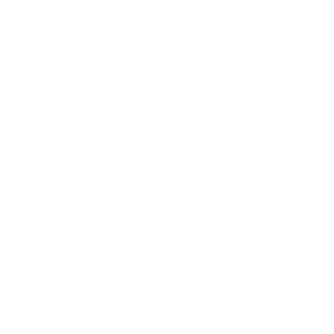 Shuffleboard-Club Weinfelden Sticker