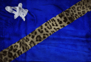 Drapeau GIF