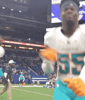 Jerome Baker Football GIF by Miami Dolphins