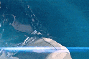 T Pain GIF by Tory Lanez