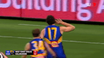finals footy GIF by AFL