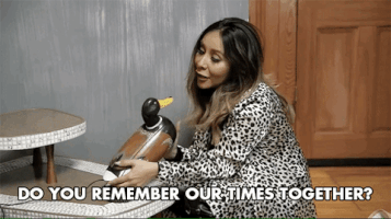 mtv premiere GIF by Jersey Shore Family Vacation