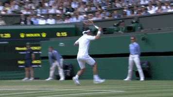 awesome tennis GIF by Wimbledon