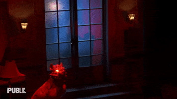 Glowing Eyes Dog GIF by The Public Theater
