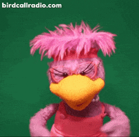 BirdCallRadio sad sexy hug help GIF