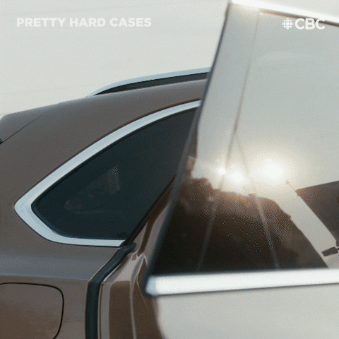 TV gif. Woman on Pretty Hard Cases steps out of a car with sunglasses on. She tilts her sunglasses down to show her eyes.