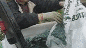 Hydroseeding GIF