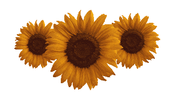 Europe Moving Sticker by KunnonMuutto