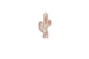 Cactus Desert Sticker by Framar
