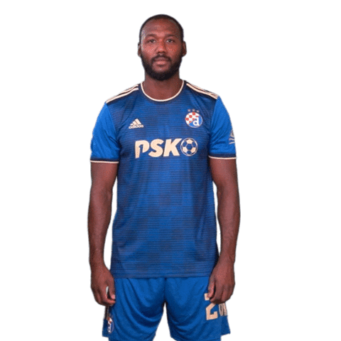 Football Soccer Sticker by GNK Dinamo