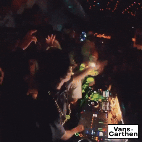 Djing Partying GIF