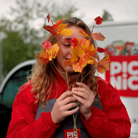 Autumn Bestellen GIF by Picnic