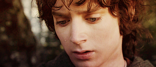 Image result for frodo gif"