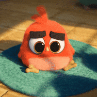 Baby Angry Bird GIFs - Find & Share on GIPHY