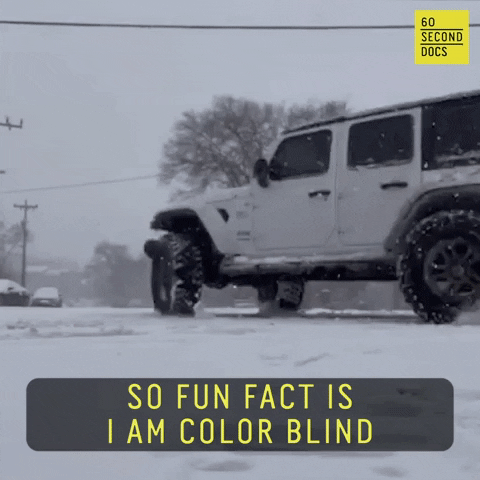 snow blindness meaning, definitions, synonyms