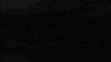 Tauroa tauroa altaussee jausenstation seewiese GIF