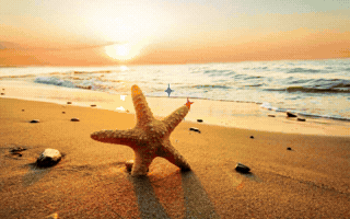 Motivation Inspiration Enjoy GIF