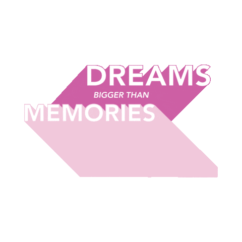 Goals Dreams Sticker by TerriSavelleFoyMinistries