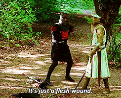 Image result for just a flesh wound gif