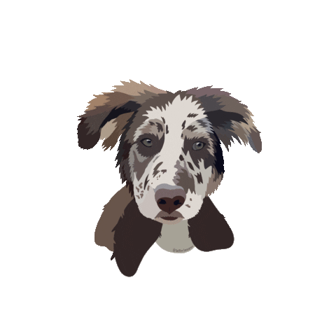 Dog Sticker