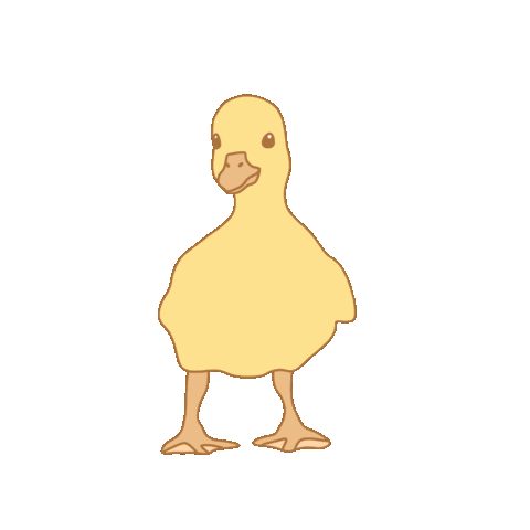 Duck Gif - IceGif