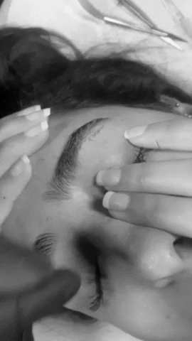 Studiodelily brows threading sourcils browsonfleek GIF