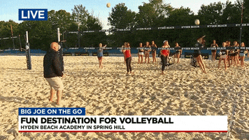 Volleyball GIF by WSMV  News 4, Nashville
