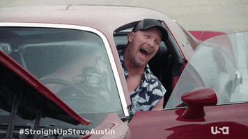 Happy Steve Austin GIF by USA Network