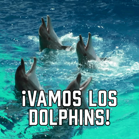 Dolphin Dance GIF - Dolphin Dance - Discover & Share GIFs
