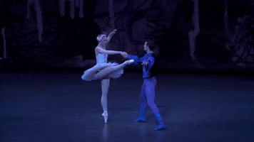 swan lake romance GIF by New York City Ballet