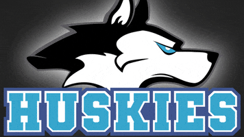 Huskies Wels GIF