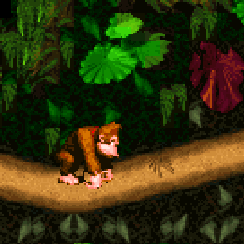 Donkey Kong Country 3 GIFs - Get the best GIF on GIPHY