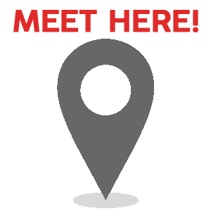 SANDEMANs NEW Europe Sticker