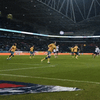 Goal Celebrations GIF by Bolton Wanderers FC