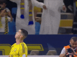Ronaldo Sui GIF